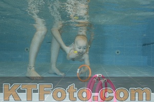 Photo 4206029