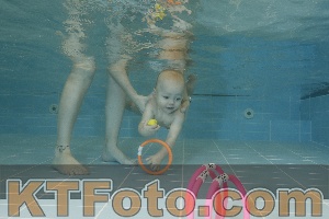 Photo 4206030