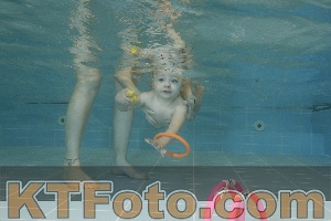 Photo 4206031