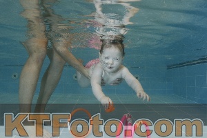 Photo 4206032