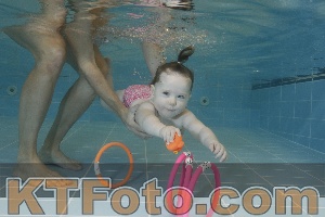 Photo 4206033