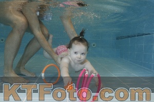 Photo 4206034