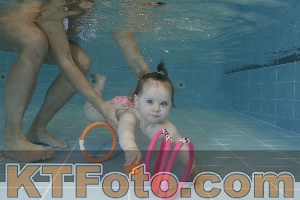 Photo 4206035