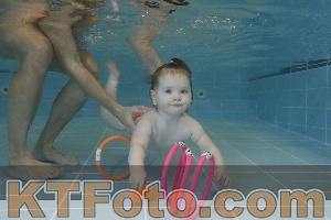 Photo 4206036