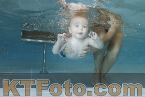 Photo 4206053