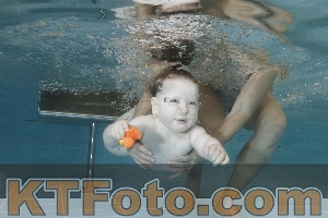 Photo 4206055