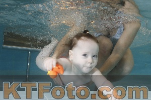 Photo 4206056