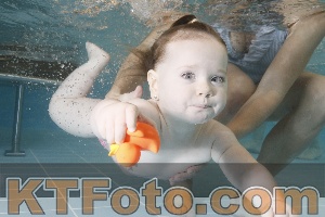 Photo 4206057