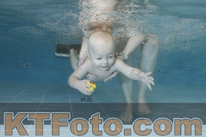 Photo 4206058