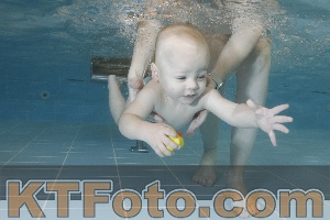 Photo 4206059