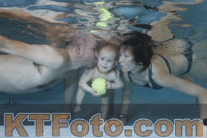 Photo 4206099