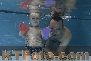 Photo 4206104