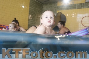 Foto 4206164