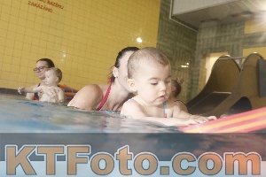 Foto 4206169