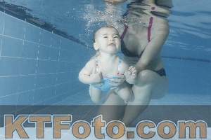 Foto 4206209