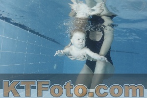 Foto 4206212