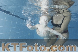 Foto 4206216