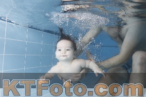 Foto 4206220