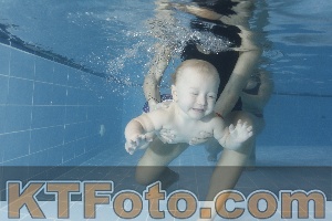Foto 4206226