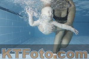 Foto 4206229