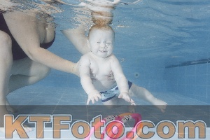 Foto 4206266