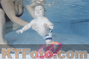 Foto 4206267