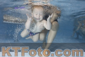 Foto 4206278