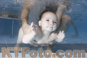Foto 4206280