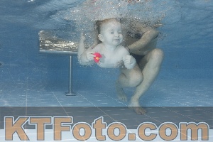 Foto 4206286
