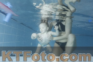 Photo 4206346
