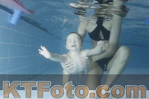 Photo 4206348