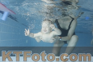 Photo 4206349