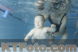 Photo 4206350