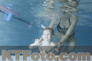 Photo 4206358