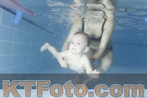 Photo 4206362