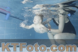 Photo 4206367
