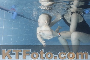 Photo 4206368