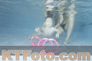 Photo 4206390