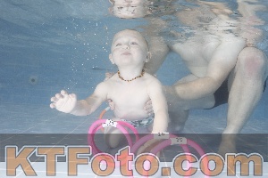 Photo 4206396