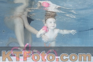 Photo 4206397