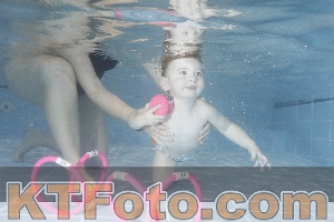 Photo 4206398
