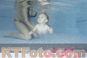 Photo 4206401