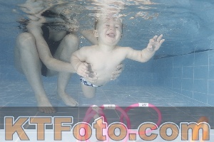 Photo 4206404