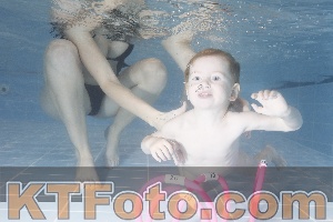 Photo 4206408