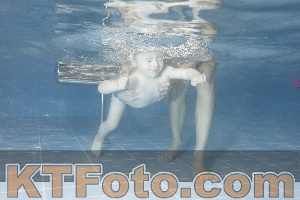Photo 4206413