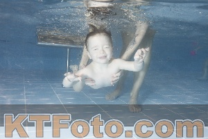 Photo 4206415