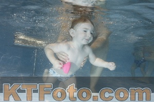 Photo 4206419