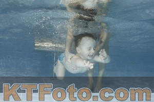 Photo 4206425