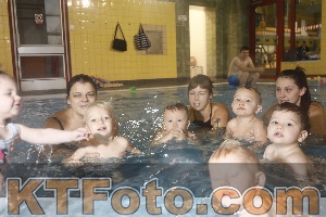 Photo 4206464