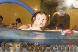 Photo 4206490